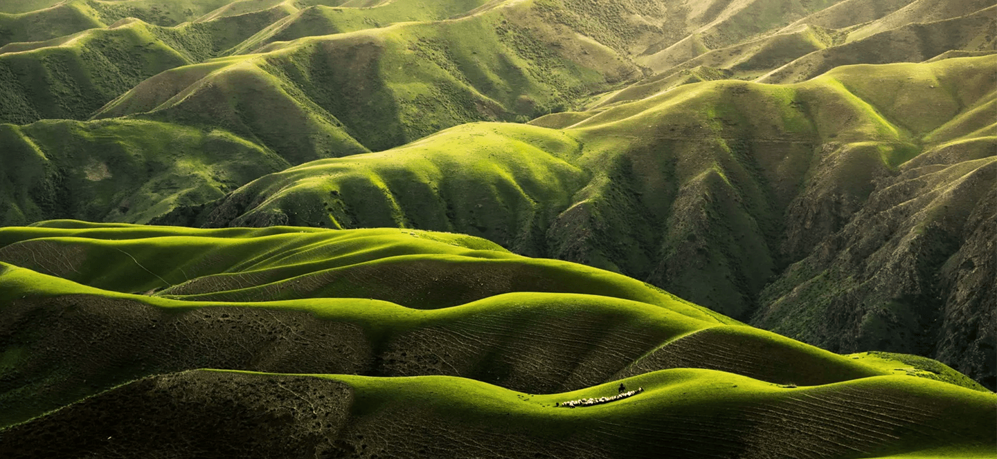 Green mountains